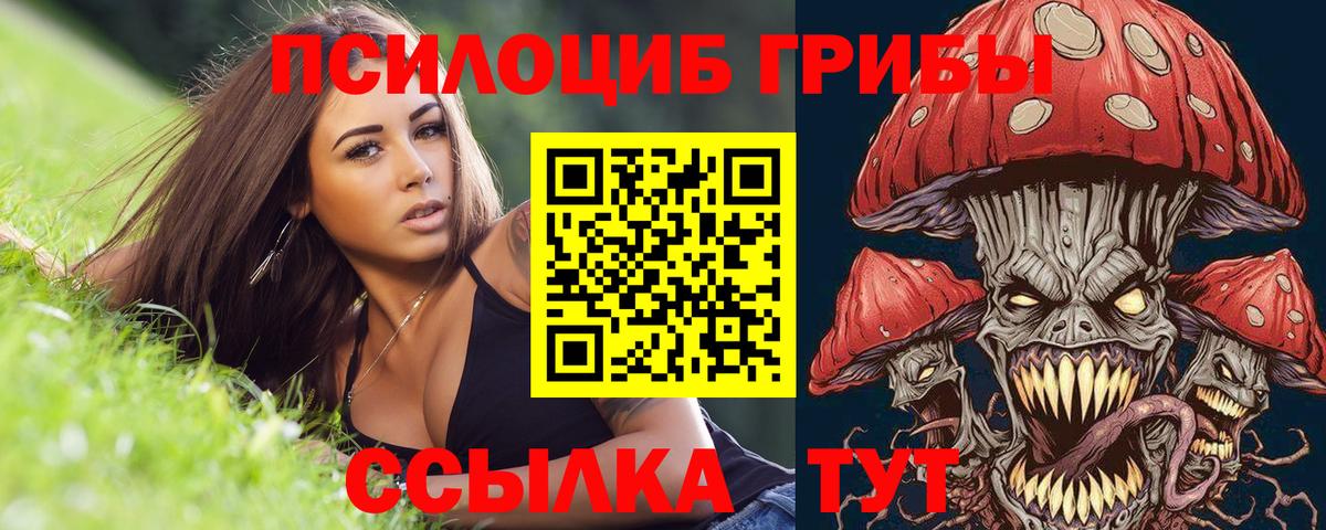 Галлюциногенные грибы Psilocybine cubensis  Вход с VPN  купить закладку  Орёл  Псилоцибиновые грибы MAGIC MUSHROOMS 