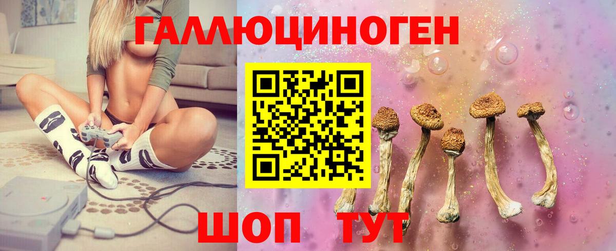Галлюциногенные грибы мухоморы Орёл
